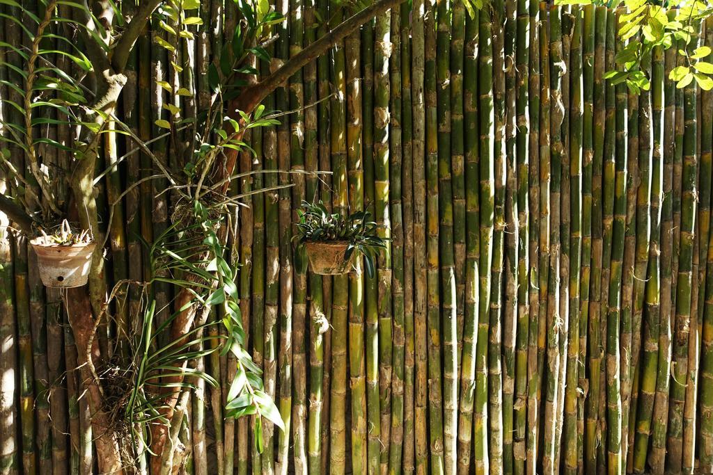 Villa Rattanakon Luang Prabang Exteriér fotografie